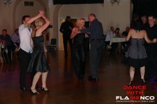 Ples knežjega mesta - PK FLAMENCO (82).jpg