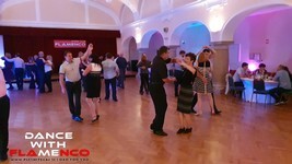 Ples knezjega mesta_plesni vecer_celje (13).jpg